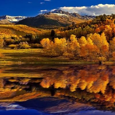 百姓彩票Welcome·官方网站