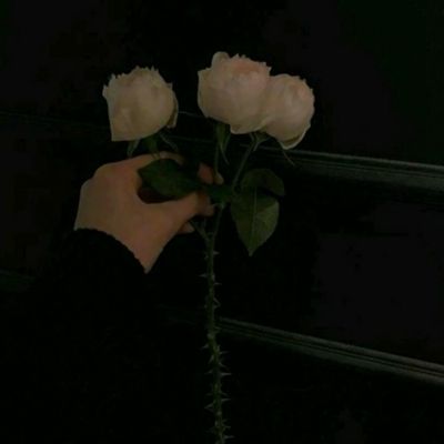 大发棋牌方网址入口